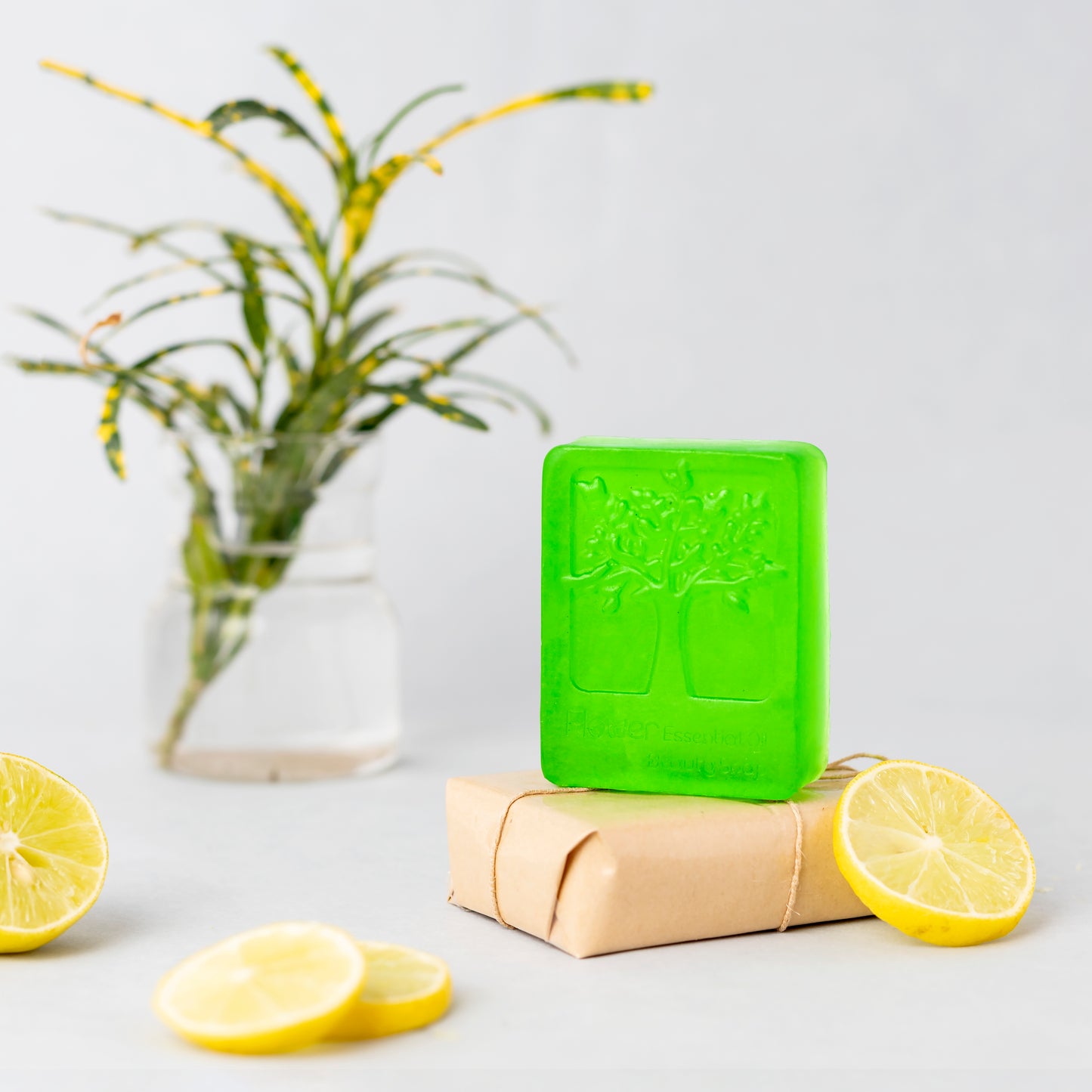 Earthy Lemon Soap Bar